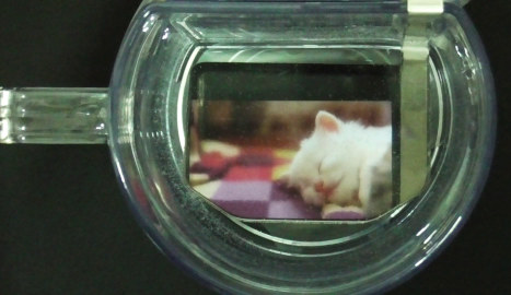 �A�j���O���X�ň��l�R�������Ɉ���