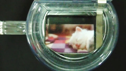 アニメグラスでネコを鑑賞 アニメグラスでネコを鑑賞